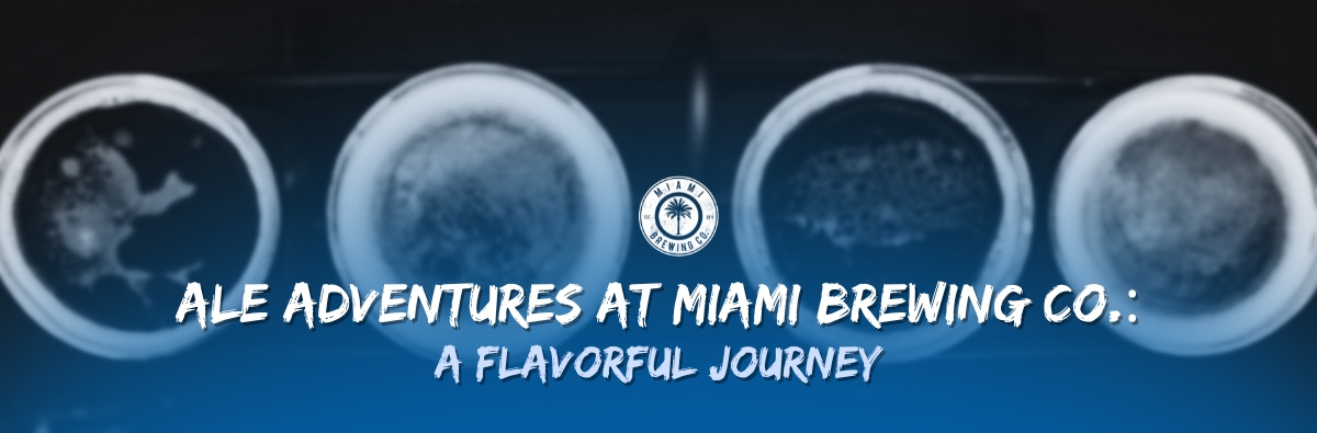 Ale Adventures at Miami Brewing Co.: A Flavorful Journey Through Our Craft Brews