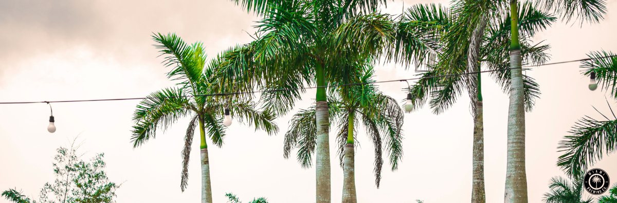 The Miami Way to Reset After the Holidays